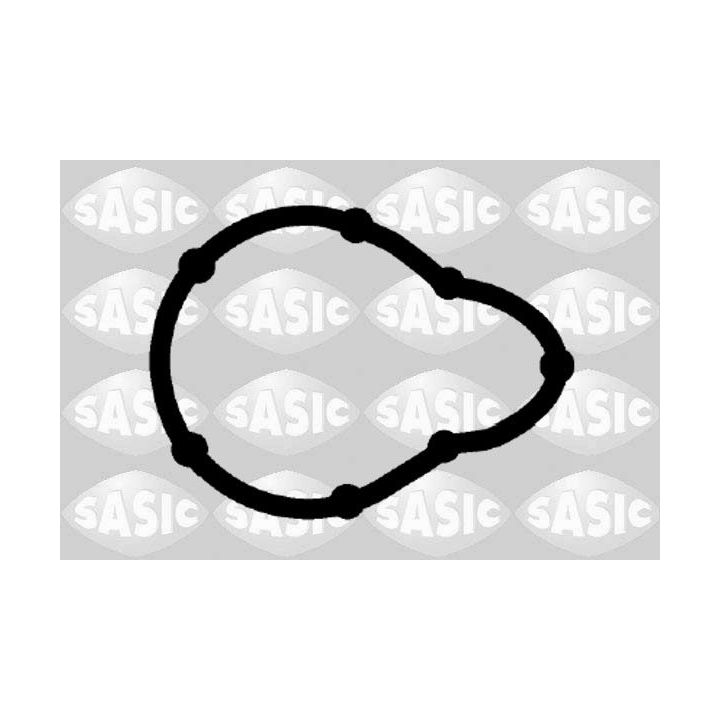 Tarpiklių rinkinys, įsiurbimo/išleidimo kolektorius SASIC 1954003