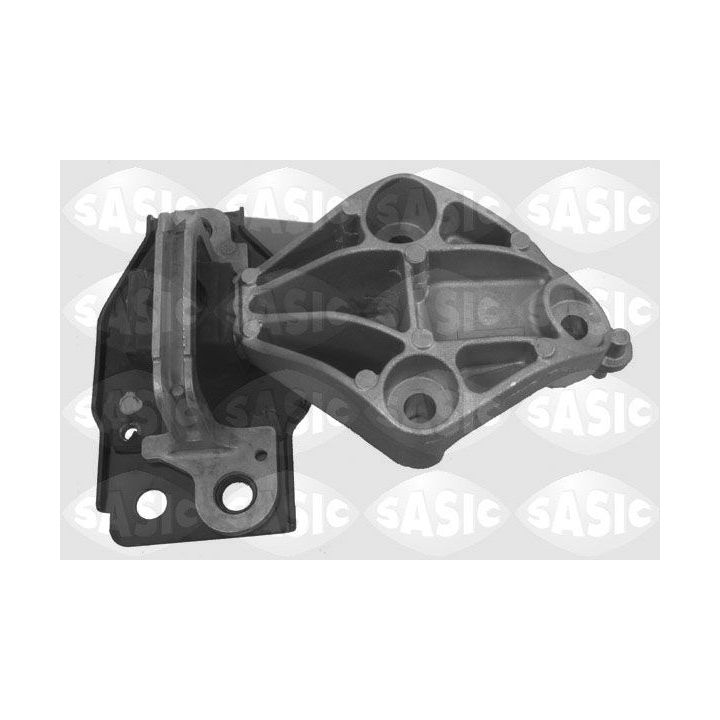 Variklio montavimas SASIC 2704001