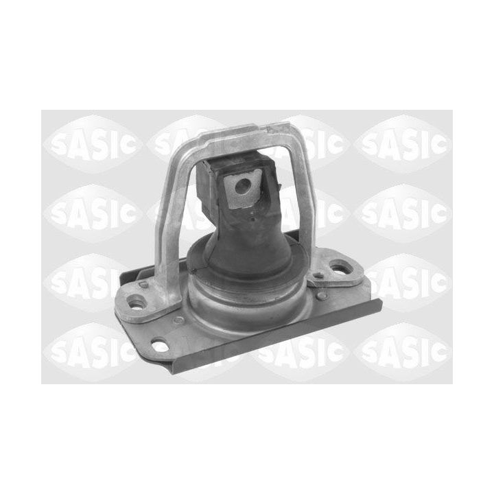 Variklio montavimas SASIC 2704013