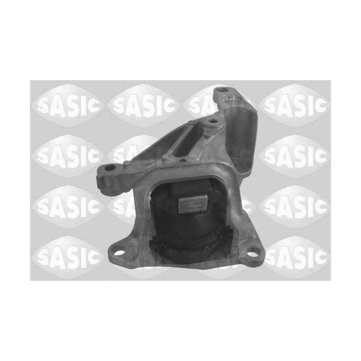 Variklio montavimas SASIC 2704068