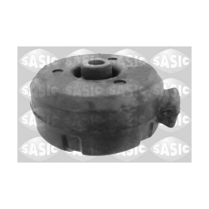 Variklio montavimas SASIC 2704078