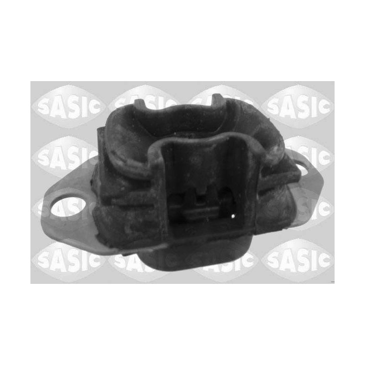 Variklio montavimas SASIC 2704081