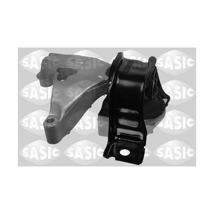 Variklio montavimas SASIC 2704093