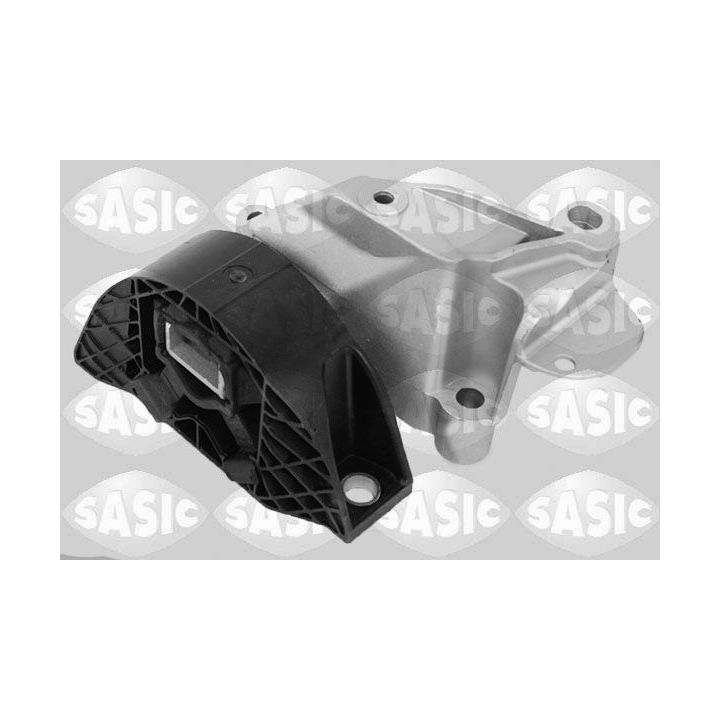 Variklio montavimas SASIC 2704121