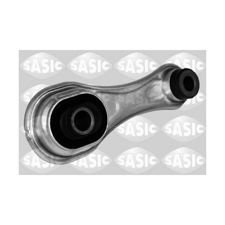 Variklio montavimas SASIC 2704132