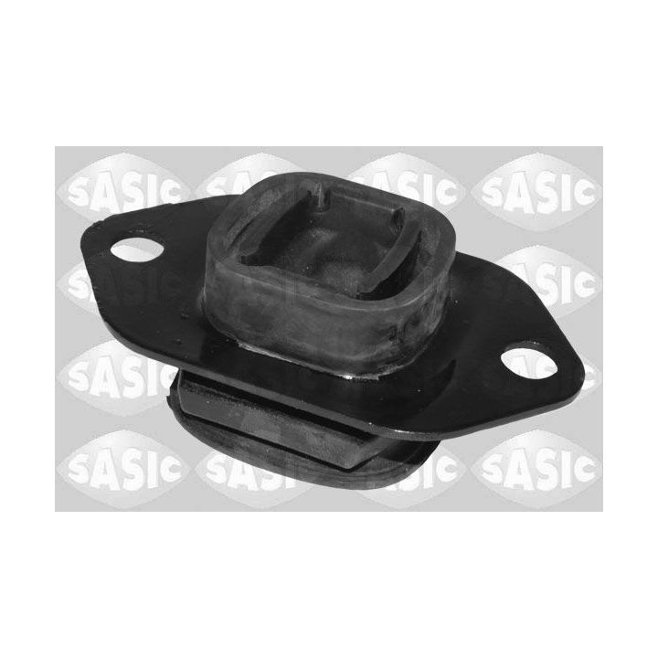 Variklio montavimas SASIC 2704139