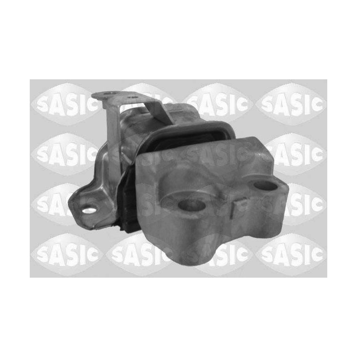 Variklio montavimas SASIC 2706048