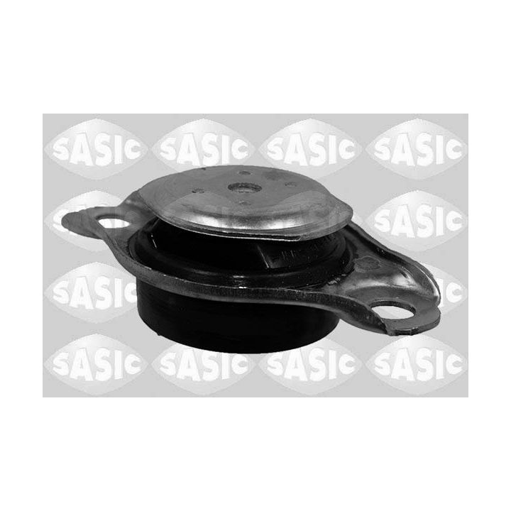 Variklio montavimas SASIC 2706108