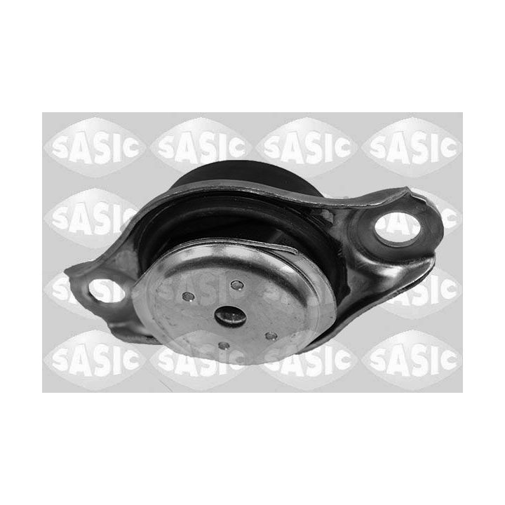 Variklio montavimas SASIC 2706154