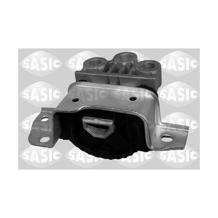 Variklio montavimas SASIC 2706233
