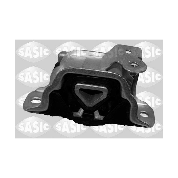 Variklio montavimas SASIC 2706241