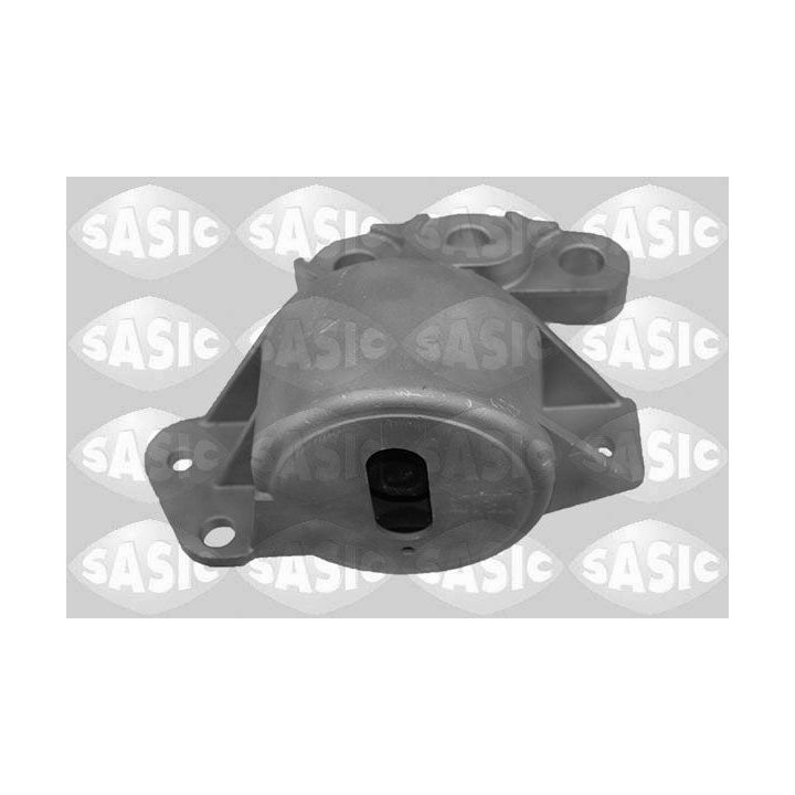 Variklio montavimas SASIC 2706247