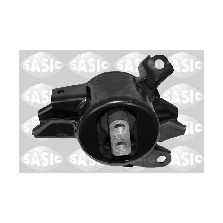 Variklio montavimas SASIC 2706299