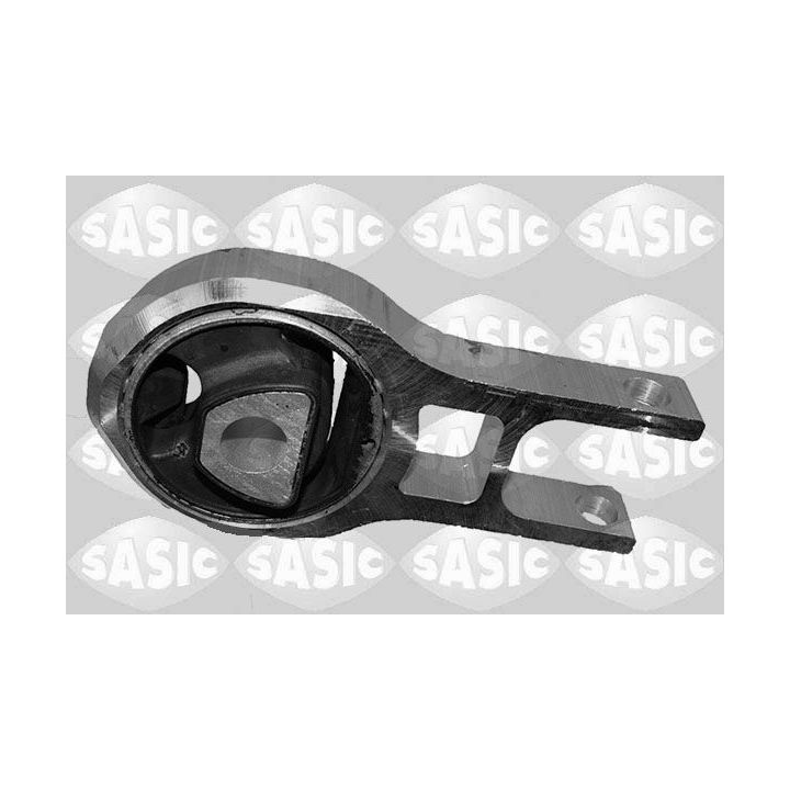 Variklio montavimas SASIC 2706333