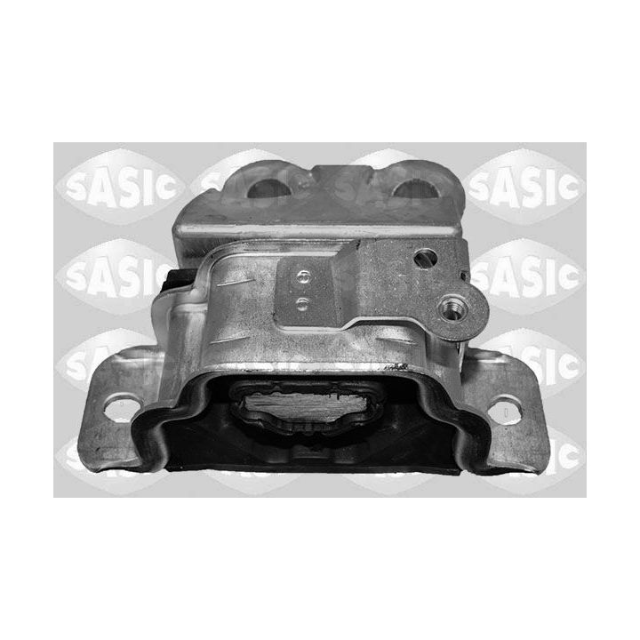 Variklio montavimas SASIC 2706334