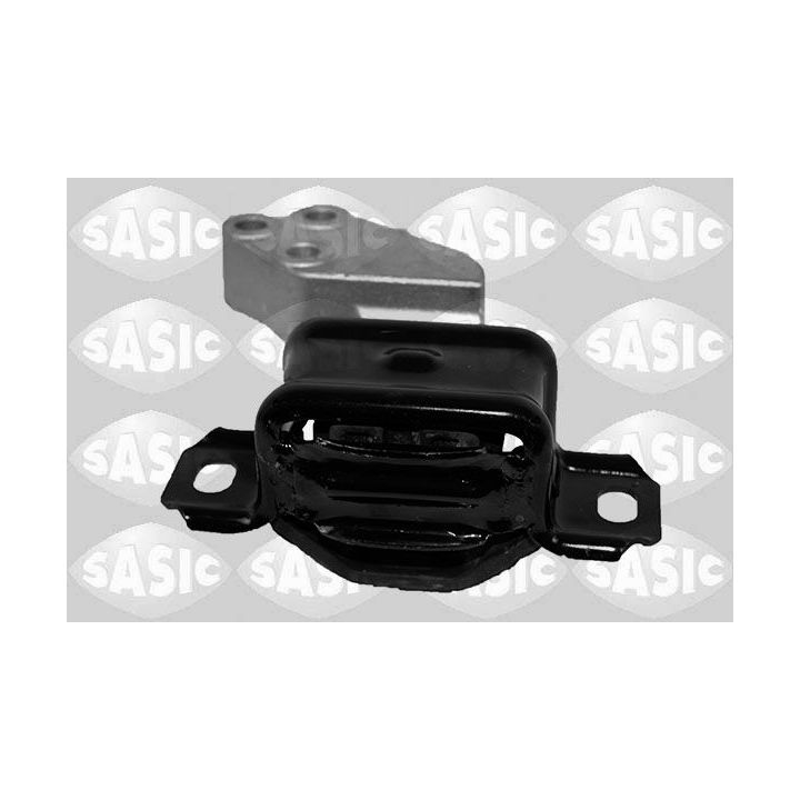 Variklio montavimas SASIC 2706350