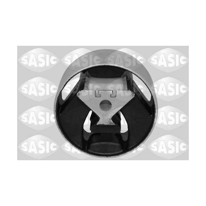 Variklio montavimas SASIC 2706379