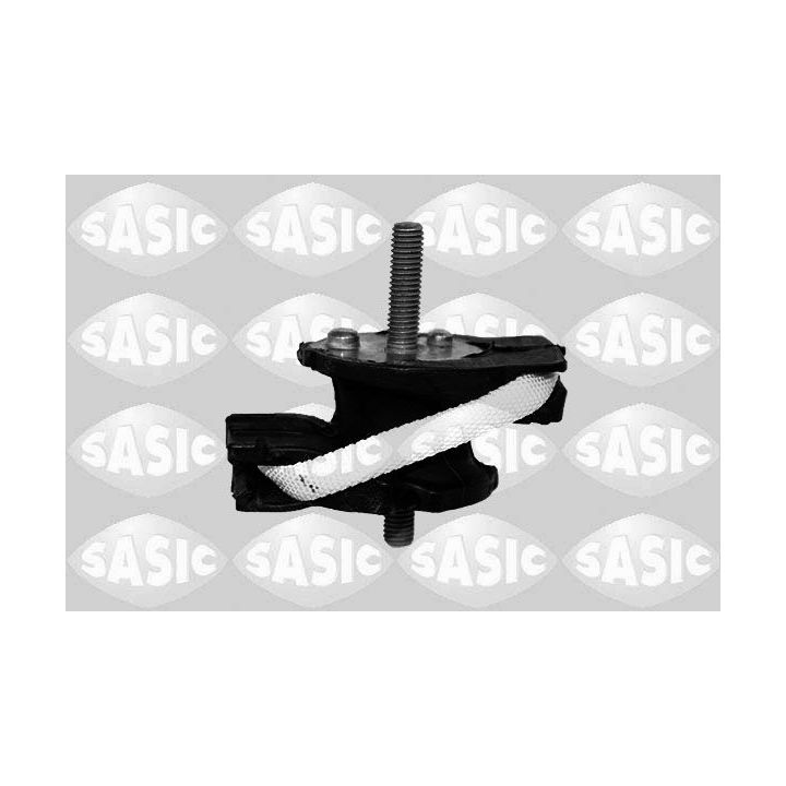 Variklio montavimas SASIC 2706381