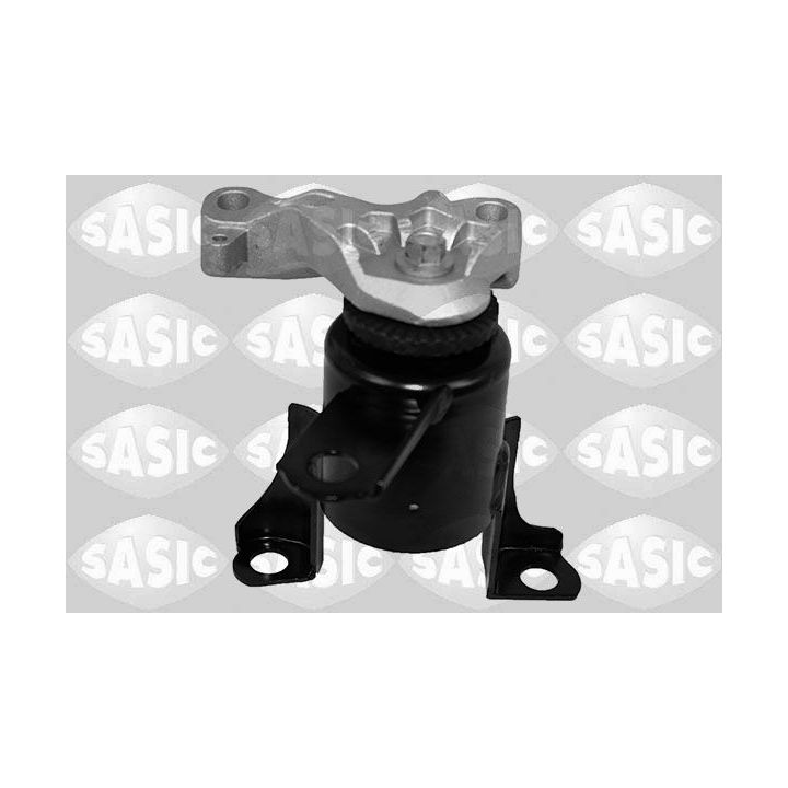Variklio montavimas SASIC 2706410