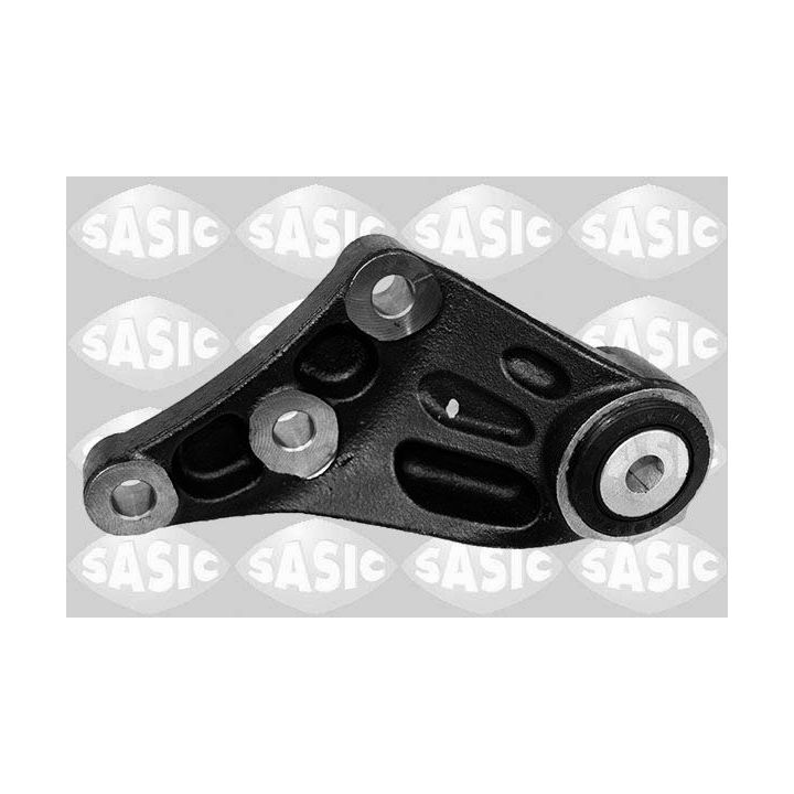 Variklio montavimas SASIC 2706441