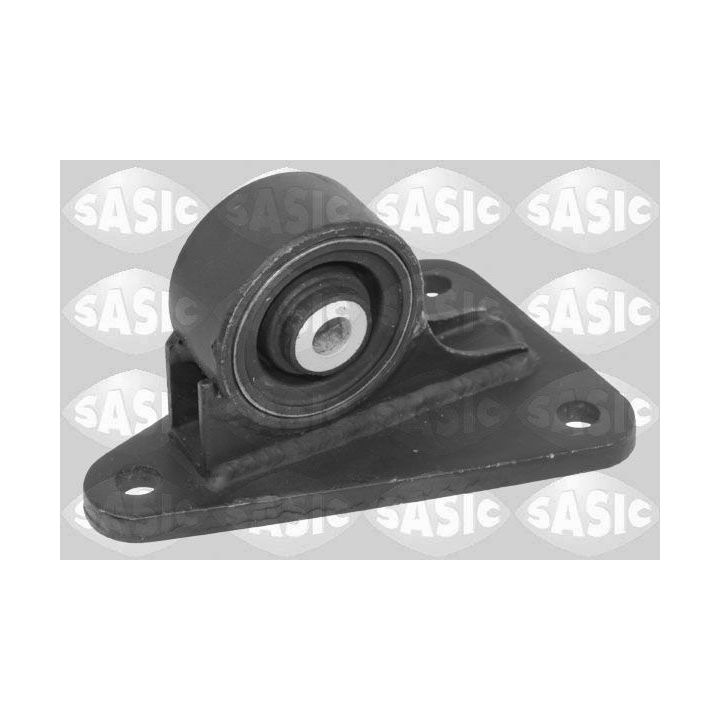 Variklio montavimas SASIC 2706464