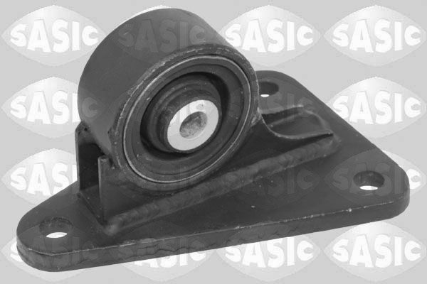 Variklio montavimas SASIC 2706464