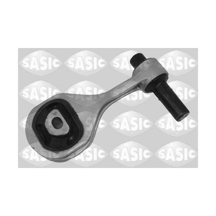 Variklio montavimas SASIC 2706468