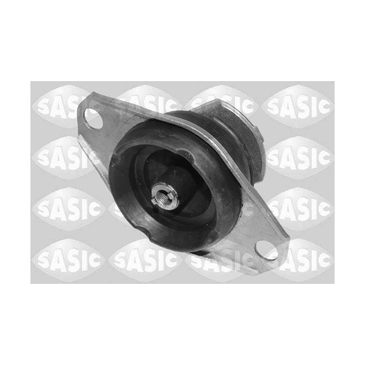 Variklio montavimas SASIC 2706472