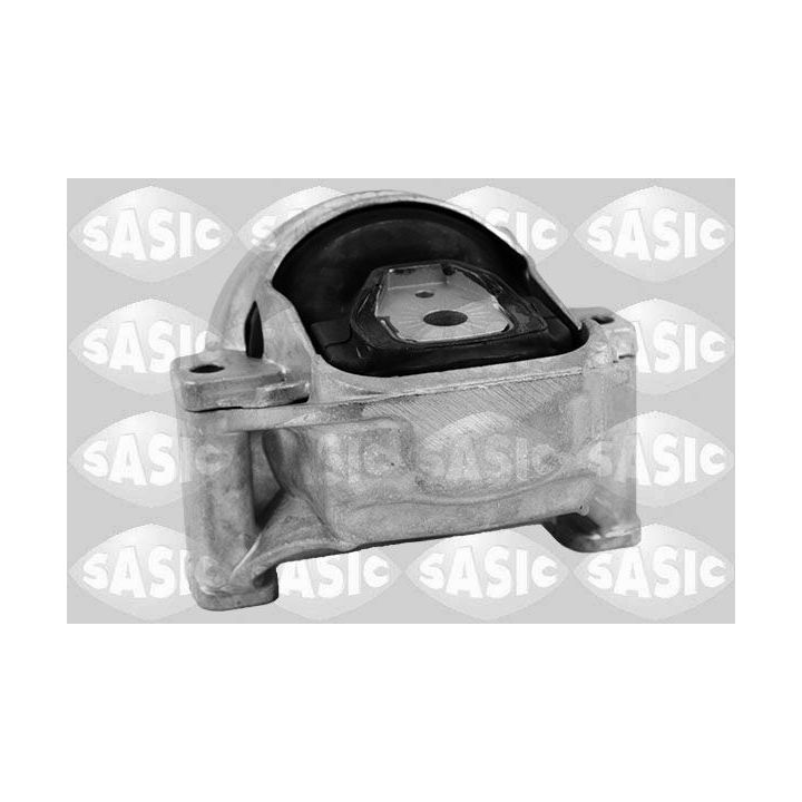 Variklio montavimas SASIC 2706475