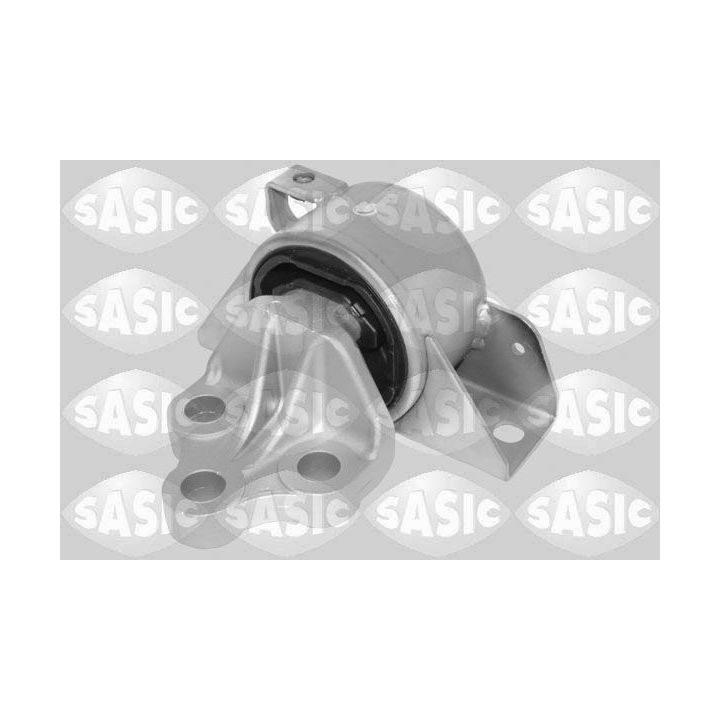 Variklio montavimas SASIC 2706530