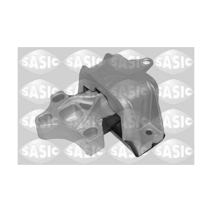 Variklio montavimas SASIC 2706549