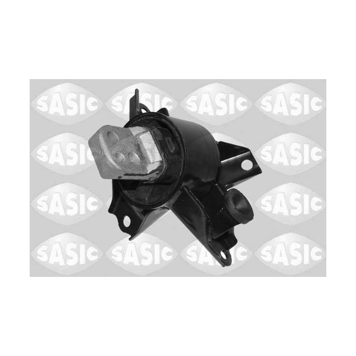 Variklio montavimas SASIC 2706559