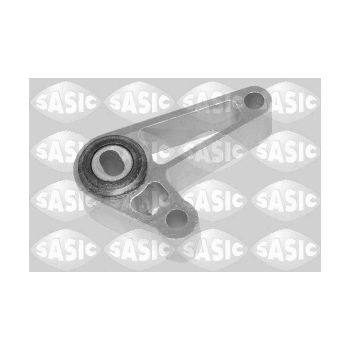 Variklio montavimas SASIC 2706580