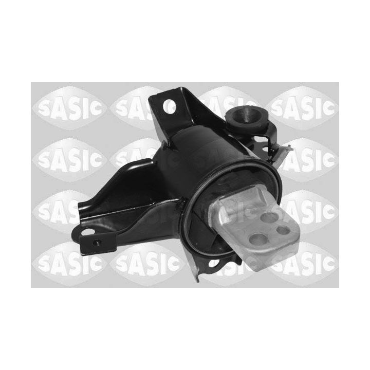 Variklio montavimas SASIC 2706589