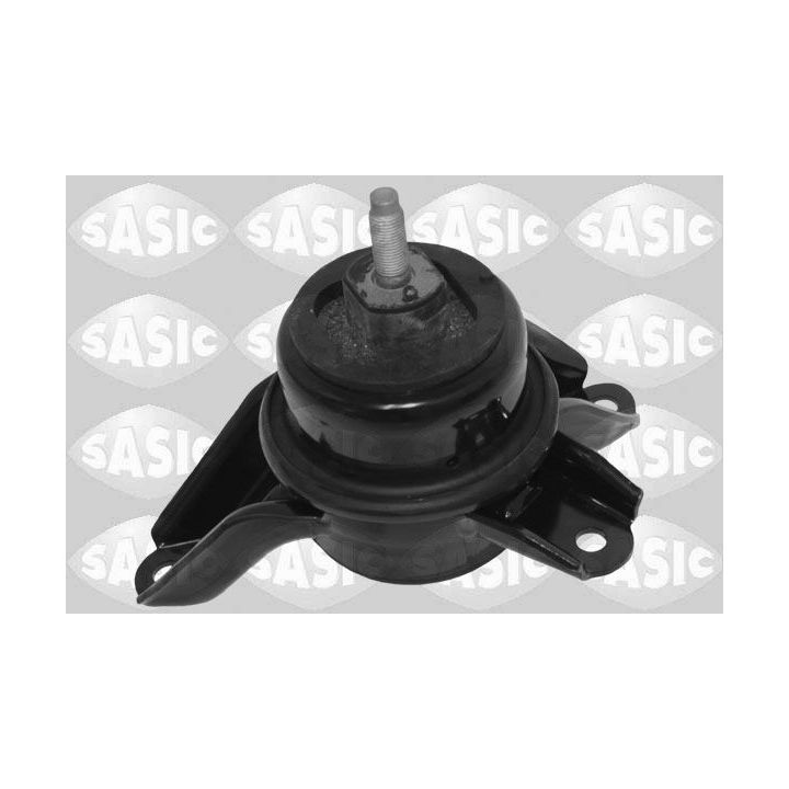 Variklio montavimas SASIC 2706627