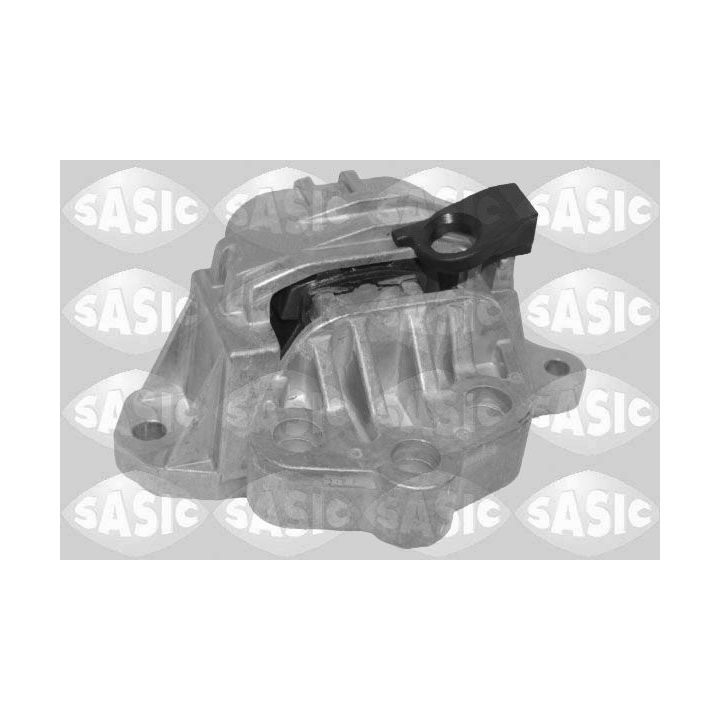 Variklio montavimas SASIC 2706794