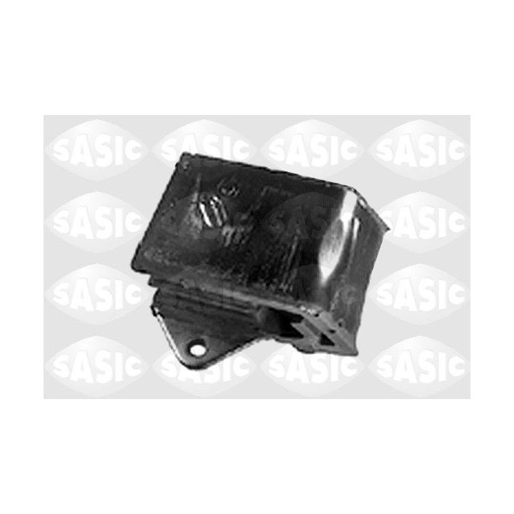 Variklio montavimas SASIC 4001320