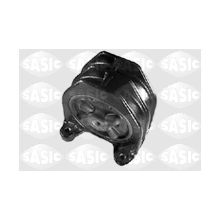 Variklio montavimas SASIC 4001323