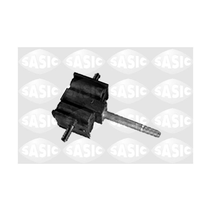 Variklio montavimas SASIC 4001340