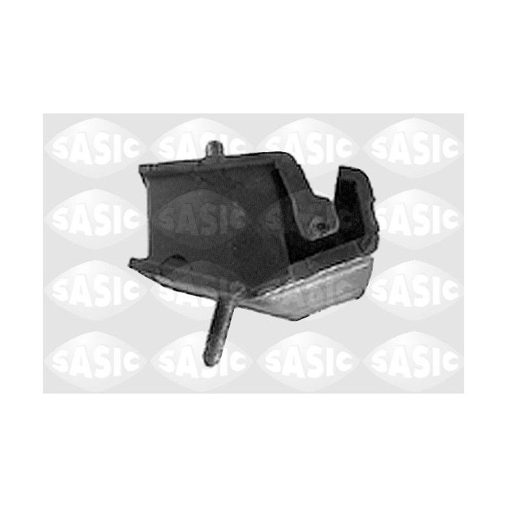 Variklio montavimas SASIC 4001350