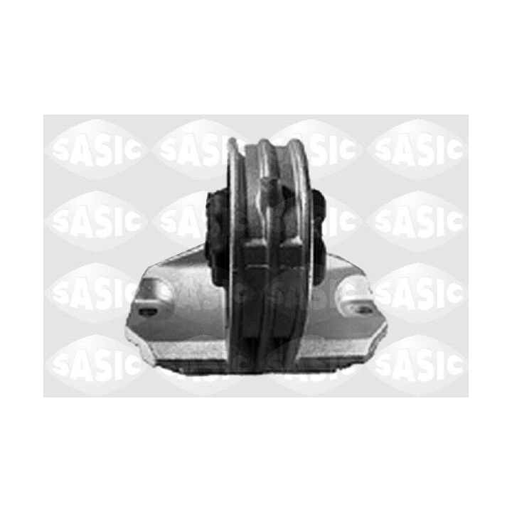 Variklio montavimas SASIC 4001353