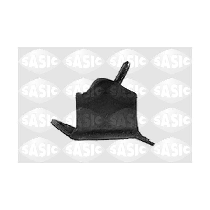 Variklio montavimas SASIC 4001364