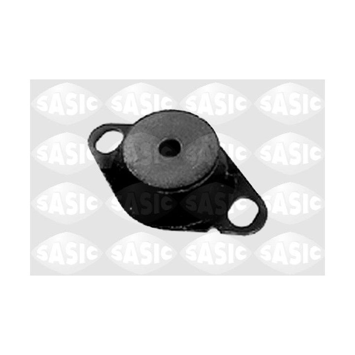 Variklio montavimas SASIC 4001370