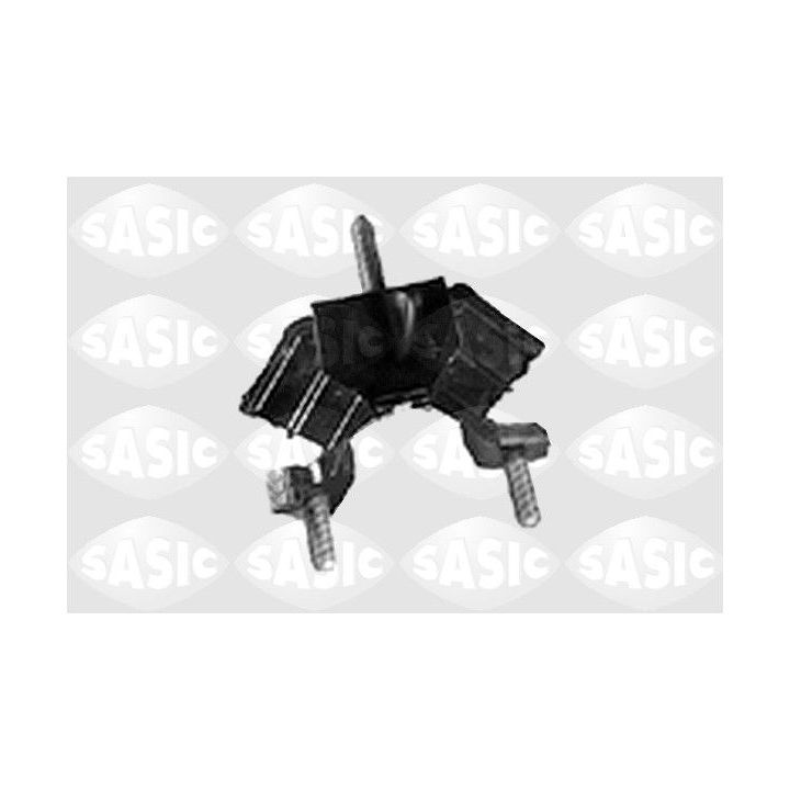 Variklio montavimas SASIC 4001379