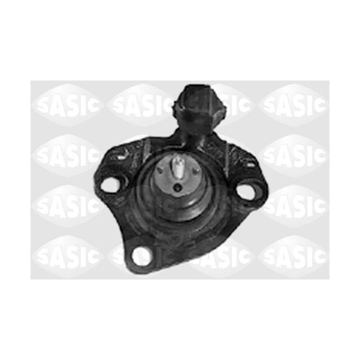 Variklio montavimas SASIC 4001385