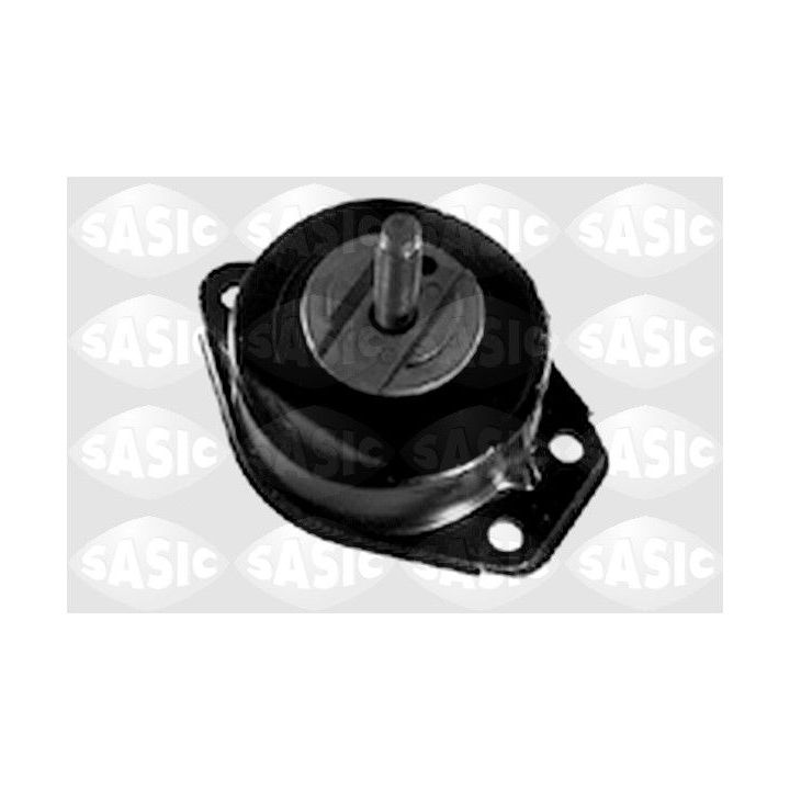 Variklio montavimas SASIC 4001393