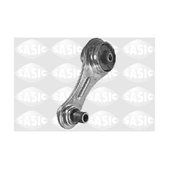 Variklio montavimas SASIC 4001713