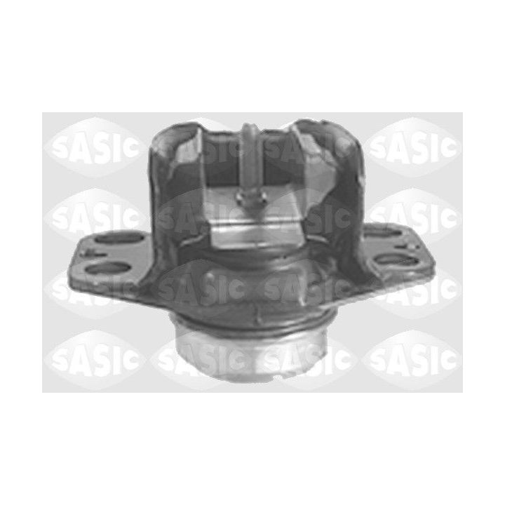 Variklio montavimas SASIC 4001716