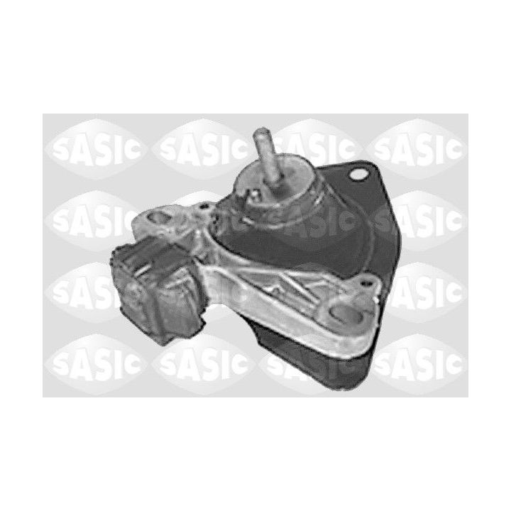 Variklio montavimas SASIC 4001727