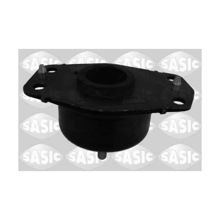 Variklio montavimas SASIC 4001729